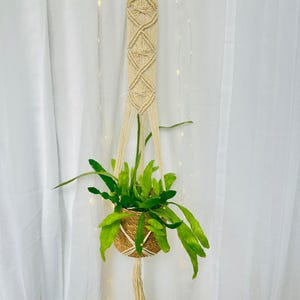 Diamond Braided Macramé Indoor Plant Pot Hanger ~1.2m Boho Chic Décor Home Garden