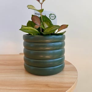 Può includere: Una pianta di Hoya in un vaso di ceramica verde scuro con anelli impilati. La pianta ha foglie verdi e rosse, con un'etichetta che dice "Hoya". Il vaso è su un tavolo rotondo di legno.