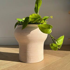 May include: A light pink, textured ceramic plant pot with a wide base and a narrower neck, holding a green leafy plant. The plant has vibrant green leaves with yellow variegation. The pot sits on a light wood floor.