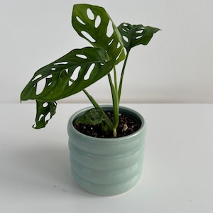 Mint Green Coil Ceramic Plant Pot for Indoor Plant 10cm Boho Chic Décor
