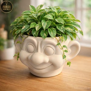 May include: A white ceramic planter shaped like a troll face, filled with green and white variegated leaves. The planter has large eyes, a nose, and a smiling mouth. The text "Pukka Printables" is visible in the upper left corner.