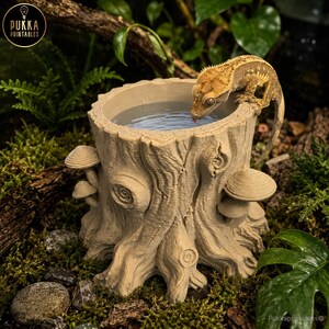 Op de afbeelding: Een beige hars waterbak voor reptielen in de vorm van een boomstronk, met een gekko die ervan drinkt. De bak heeft een getextureerd oppervlak met paddenstoelaccenten en is omgeven door groen. Het logo van Pukka Printables staat linksboven.