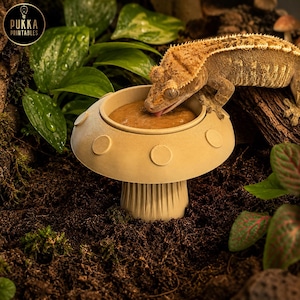 Op de afbeelding: Een beige, paddenstoelvormige voerbak met een brede, ronde hoed met verhoogde cirkelvormige accenten en een geribbelde steel. Een wimpergekko zit op de rand van de bak en likt aan het bruine, pasta-achtige voer dat in de kom zit.