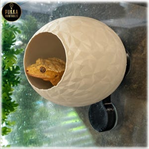 Op de afbeelding: Een crèmekleurige, bolvormige reptielenschuilplaats met een geometrische, gefacetteerde oppervlaktestructuur. De schuilplaats heeft een grote ronde opening en is met een zwarte zuignap aan een glazen oppervlak bevestigd. Een gekko zit erin.