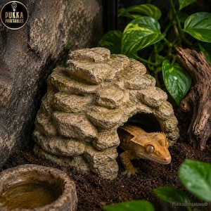 Può includere: Un geco crestato beige e marrone emerge da un nascondiglio in pietra testurizzato a forma di cupola. Il nascondiglio presenta un aspetto a rocce sovrapposte con accenti verde muschio. Una piccola ciotola d'acqua in pietra poggia sul terreno.