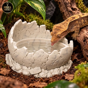 Drakeägg Reptilmatningsskål STL, Krämgeckos mat- och vattenskål, Vivariumdekor