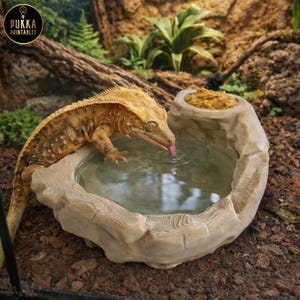 May include: A crested gecko drinks from a water bowl. The bowl is light beige and has a naturalistic rock-like design. The gecko is orange and brown with a textured pattern. A small food dish is attached to the water bowl.