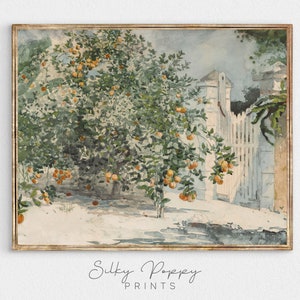 Vintage Orange Tree Print | Antique Kitchen Wall Decor | Antique Watercolor Painting | Orange Tree Vintage Art | Mediterranean Vintage Print