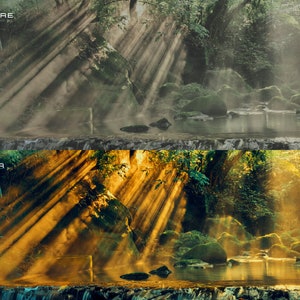 May include: A lush green forest with a stream running through it. Sunlight beams through the trees, creating a misty, ethereal atmosphere. The water is clear and reflects the light.