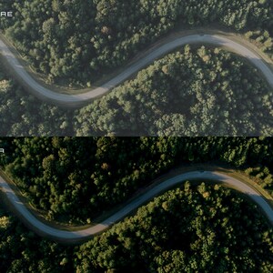 May include: An aerial view of a winding road through a dense forest. The road is paved and curves through the trees, with a single car driving along it. The trees are a deep green color, and the sky is a light blue.