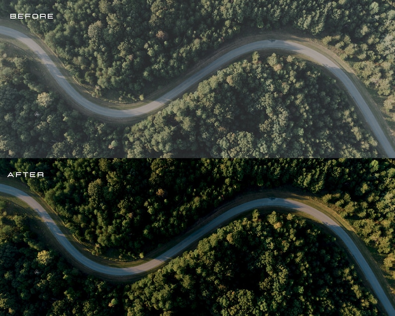 May include: An aerial view of a winding road through a dense forest. The road is paved and curves through the trees, with a single car driving along it. The trees are a deep green color, and the sky is a light blue.
