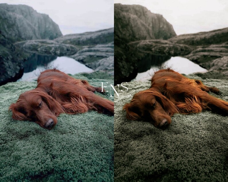 10 Cinematic Greens Presets / Mobile & Desktop / Instragram / Blogger