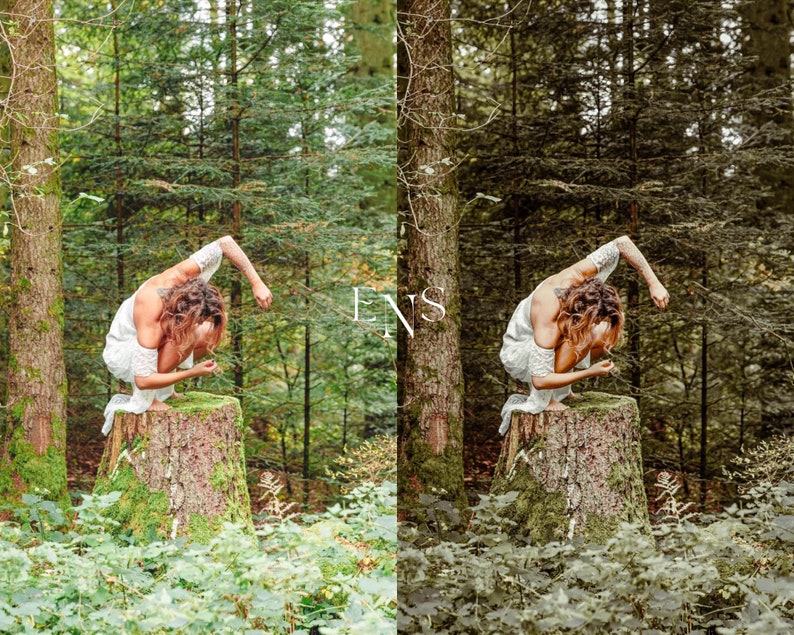 10 Earth Tones Presets / Mobile & Desktop / Instagram / Blogger / Green