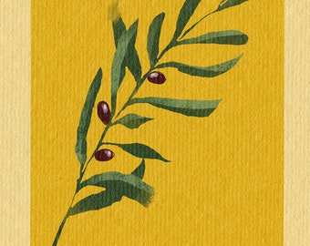 May include: A watercolour illustration of an olive branch with dark purple olives on a yellow background. The text "Olea europaea" is written in brown cursive at the bottom of the image.