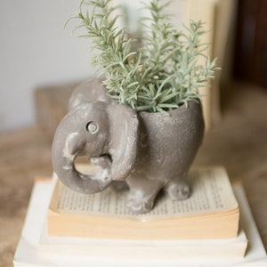 May include: A grey ceramic elephant planter with a green leafy plant inside. The planter is sitting on a stack of books.
