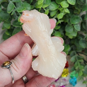 May include: A white selenite crystal cluster with a translucent, almost milky appearance. The crystal has a unique, almost organic shape, resembling a branch or a feather.