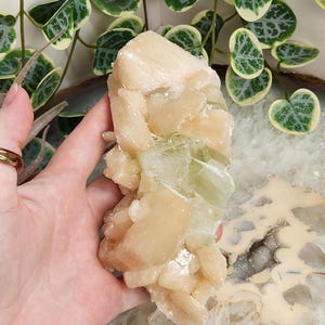 May include: A cluster of celestite crystals with a mix of light peach and green colors. The crystals are translucent and have a natural, rough texture.