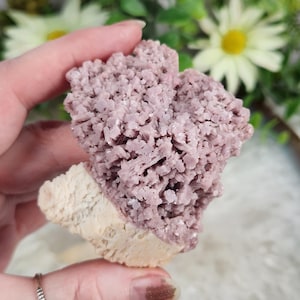 May include: A light purple mineral specimen with a textured, crystalline structure. The mineral sits on a beige-colored base. The background features white and yellow flowers and green foliage. The overall appearance is natural and earthy.