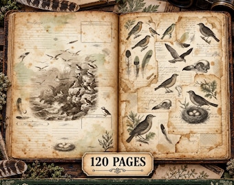 May include: An open vintage-style book featuring 120 pages of bird-themed illustrations, including various bird species, feathers, nests, and skulls on aged, stained paper. The text reads DIGITAL DOWNLOAD, 120 PAGES, and VINTAGE BIRDS JUNK JOURNAL KIT.