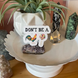 Don’t Be a C*ck Sucker Vinyl Sticker, Laptop Sticker, Water Bottle Sticker, Waterproof