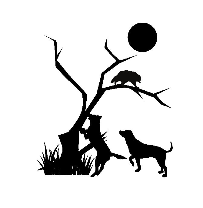 Raccoon Coon Hunting Dogs Dog Treeing Tree Vector File in SVG - Etsy