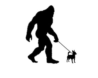 Grappige Bigfoot SVG wandelende Chihuahua Cricut snijbestand, Sasquatch hondenras eigenaar PNG DXF, Cryptide dieren humor clipart commercieel gebruik
