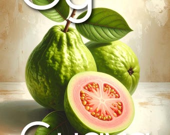 20 Alphabet-Karten für Ihr FRUITS & VEGGIES Deck | Zusatzkarten | Neues lustiges Lernerlebnis | abc Karten | Zurück in der Schule