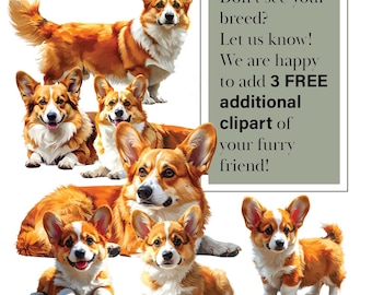 275 Hund Clipart PNGs 55 Rassen | Ganzkörper Hunde Illustrationen in verschiedenen Posen + 3 KOSTENLOSE individuelle Rasse Bilder | Digitaler Download | Clip Art