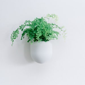 Blumentopf, Wandpflanzer Blanc