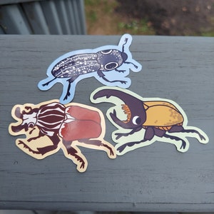 Beetle Stickers Original Design Bugs Silly Cute Insect Stickers