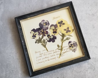 Pansy Framed Art Print