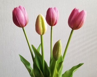 5-Head Mauve Indoor/Outdoor Tulip Bunch