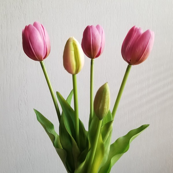 5-Head Mauve Indoor/Outdoor Tulip Bunch