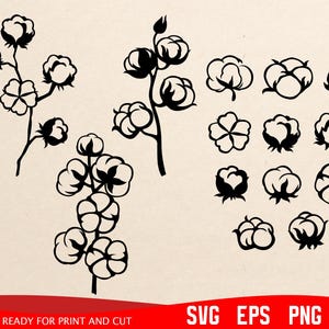 Cotton Svg Eps Png, Cotton SVG Files for Cricut, Cotton Silhouette Svg ...