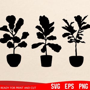 Hoja de violín svg, Planta de interior svg, Descarga instantánea, Cricut, Silueta, Ficus lyrata svg