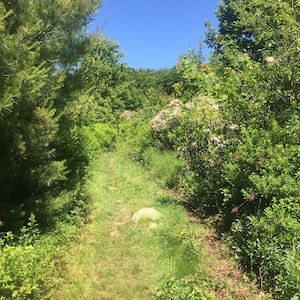 Field Pathway