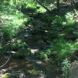 Mountain Stream