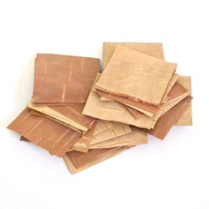 5 cm x 5 cm Square Sheets, Natural Canadian Birch Tree Bark for Crafting, Resin Jewelry, DIY Projects. (10 pieces)
