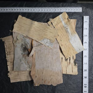Rustic Home Decor, Natural Birch Tree Bark for Crafting, DIY Projects 8 pieces
