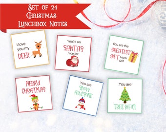 Christmas Lunch Notes - Add some festive fun to your child&#39;s lunchbox during this holiday season. Contains 24 notes.