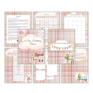 May include: A 30-day decluttering planner with a pink and brown plaid background. The planner includes a checklist of rooms to declutter, a calendar to track progress, and a section for notes. The planner also features cute illustrations of houses and a windmill.