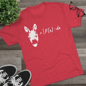 Donkey Equation Tee