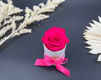 May include: A single, preserved pink rose in a white box with a pink ribbon. The box has a gold design on the front.