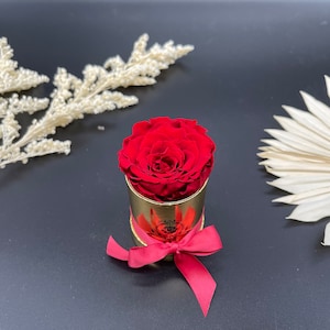 Small Preserved Rose in Box - Engagement Gift Box - Forever Roses - Bridesmaid Gift - Gifts for Her - Eternal Roses - Custom Rose Gift Box