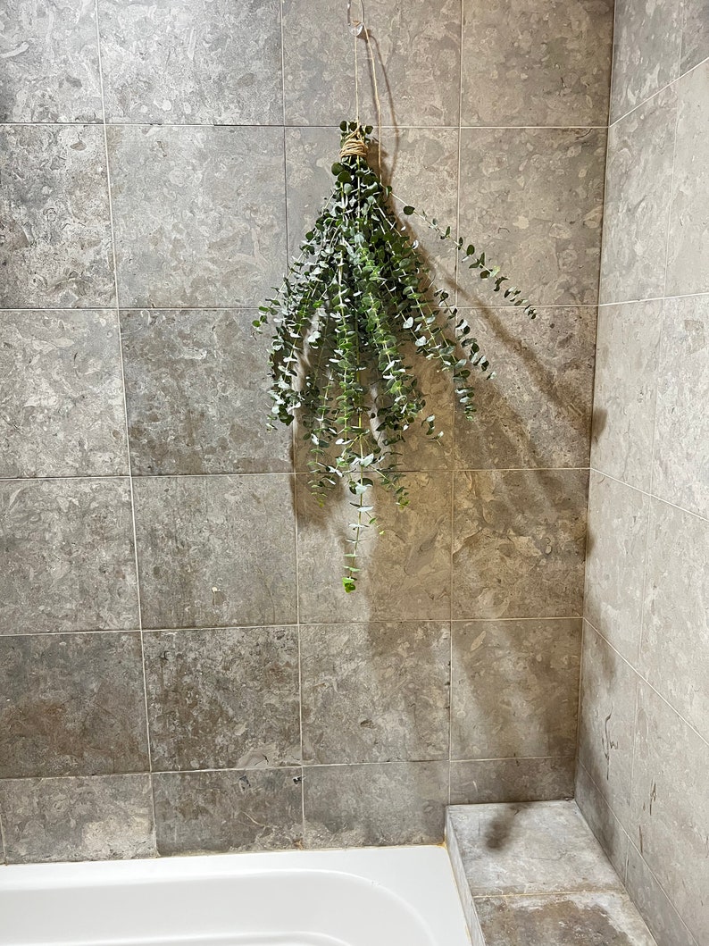 Fresh Eucalyptus Bunch Shower Bundle, Hanging Shower Baby Blue ...