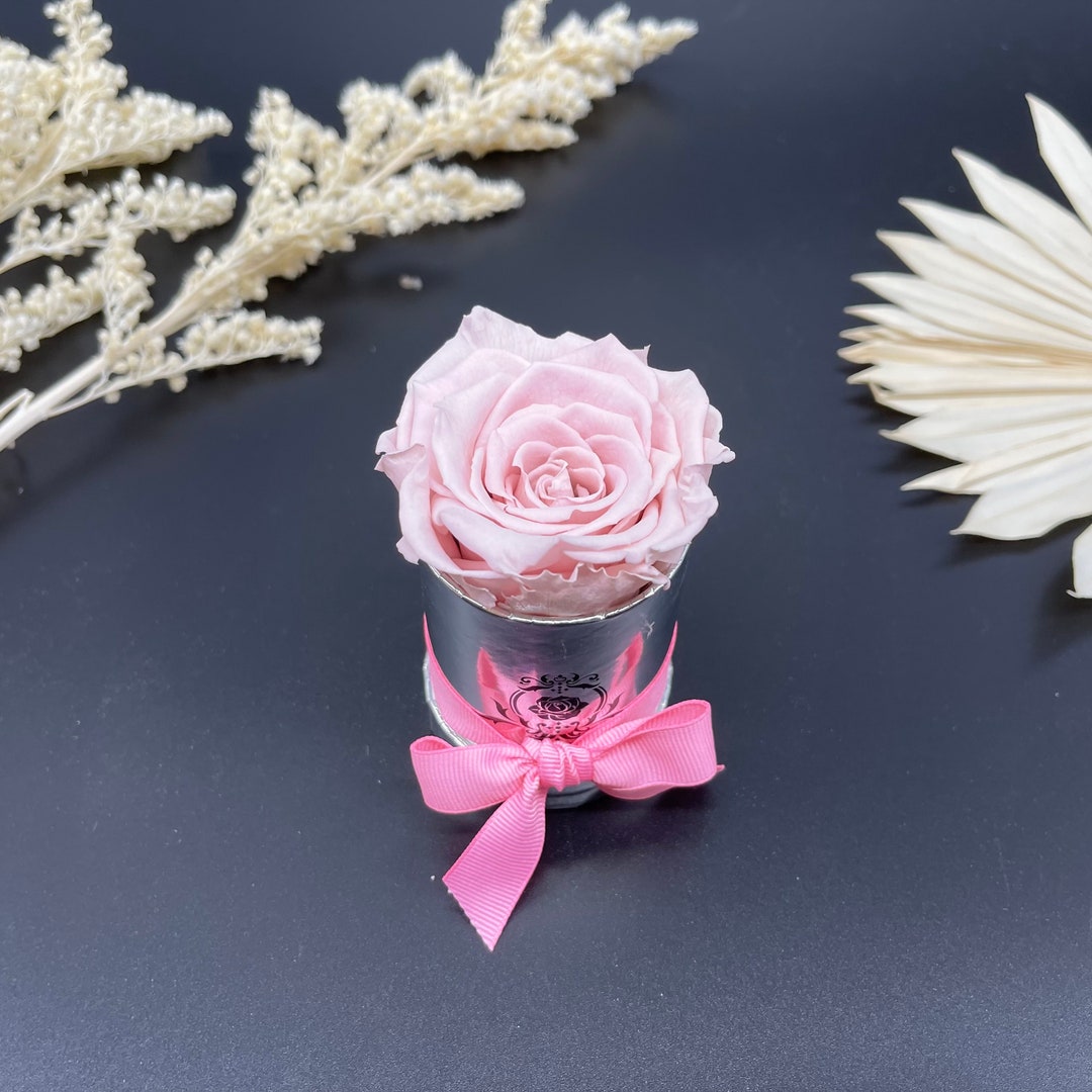 Pink Preserved Rose in Box - Forever Rose - Engagement Gift - Eternal ...