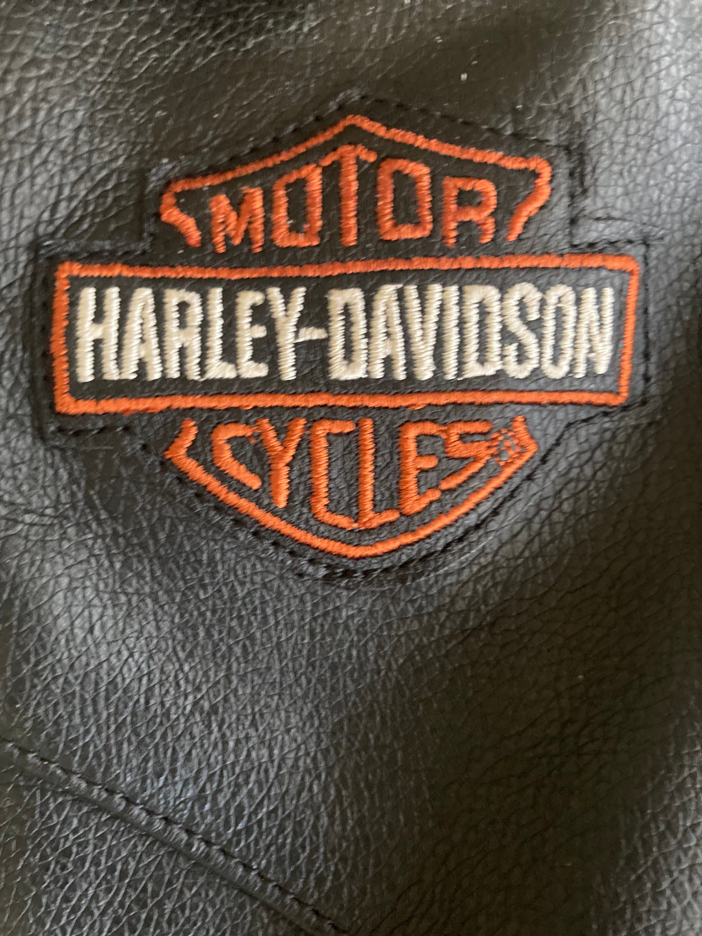 Harley Davidson leather chaps - ayanawebzine.com