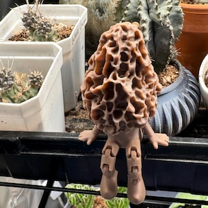 May include: A brown, 3D-printed morel mushroom figure with arms and legs, perched on a black shelf. The mushroom has a textured, porous surface. Various potted cacti and succulents are in the background, creating a botanical theme.