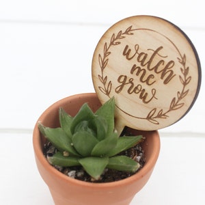 May include: A small succulent plant in a terracotta pot with a wooden sign that says "watch me grow" in a cursive font.