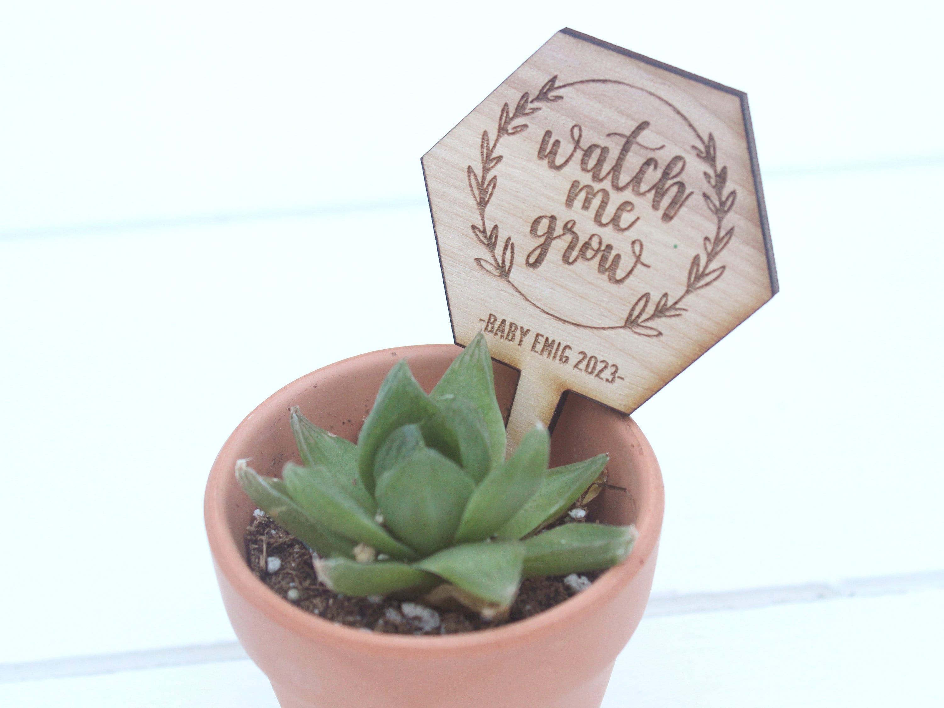 Potted Succulent Plant Stickers – Favor, Journal, and Envelope Seal Labels  – Set of 50 - Adore By Nat